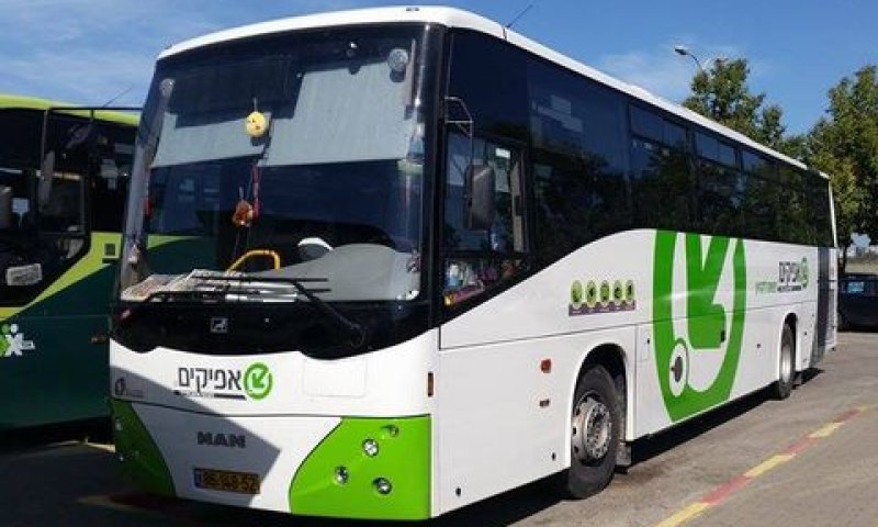 אפיקים. נכנסת [צילום: מולי מנדלסון]