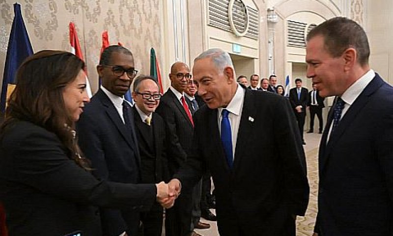 [צילום: שלומי אמסלם]