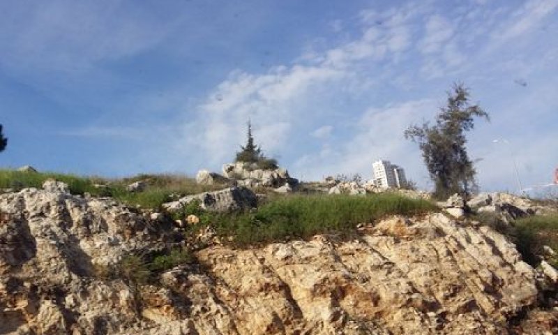 מודיעין [צילום אילוסטרציה: עידן יוסף]