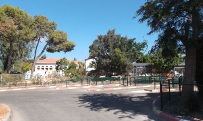 [צילום: איתמר לוין]