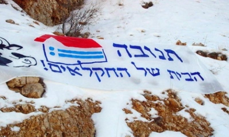 [צילום: אבי ועקנין]