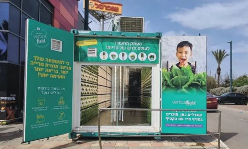 ורטיקל פילד. תביעה להחזר הלוואה [צילום: יח"צ]