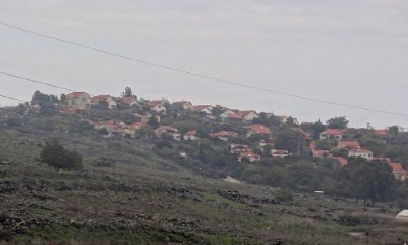 כרכום. אחד מאתרי הגריסה