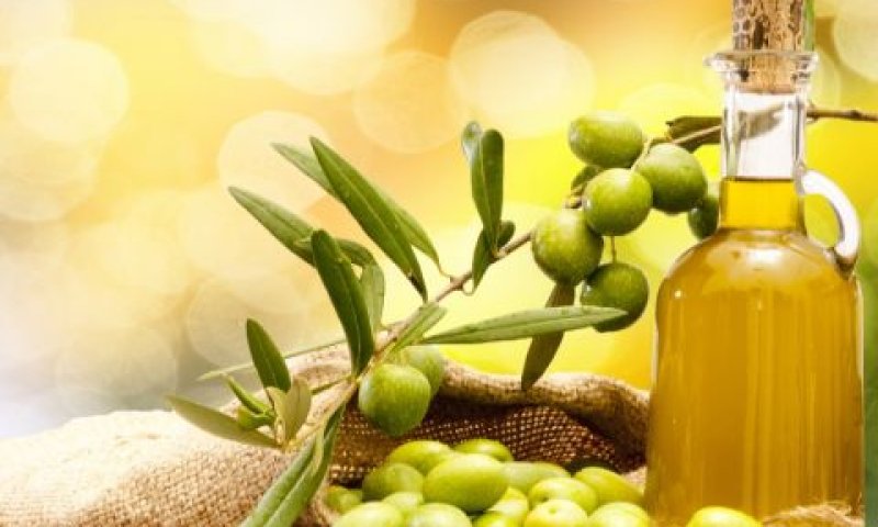 מה תעשה הורדת המכס לענף הזית הישראלי [צילום: באדיבות ענף הזית]