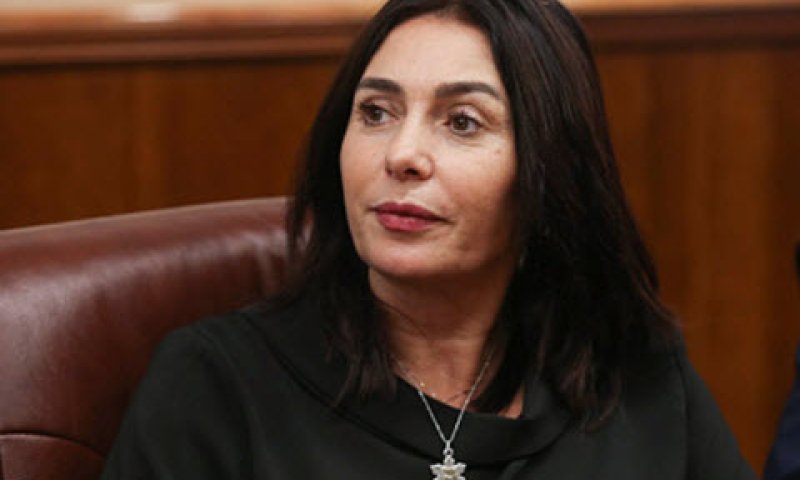 רגב. מצג מטעה [צילום: אלכס קולומויסקי]