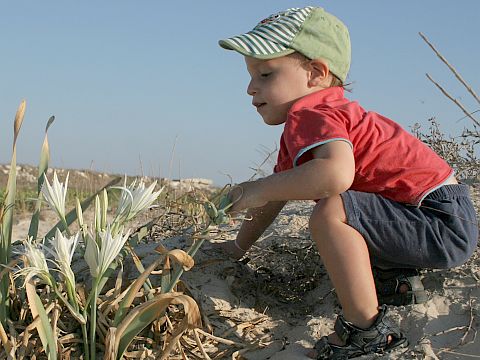 סימנים ראשונים של סתיו [צילום: אסף מירוז-החברה להגנת הטבע]