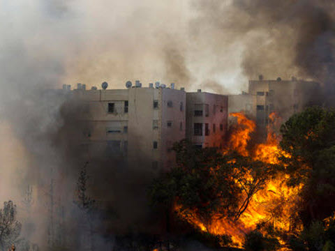 [צילום: AP/Ariel Schalit]