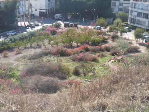 הלוואה ללא היגיון כלכלי