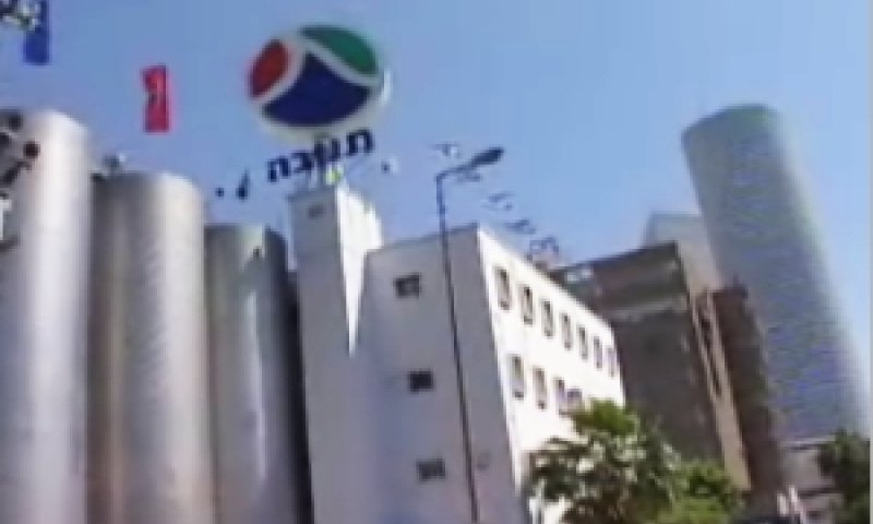 תנובה