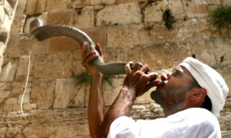 [צילום: פלאש 90]