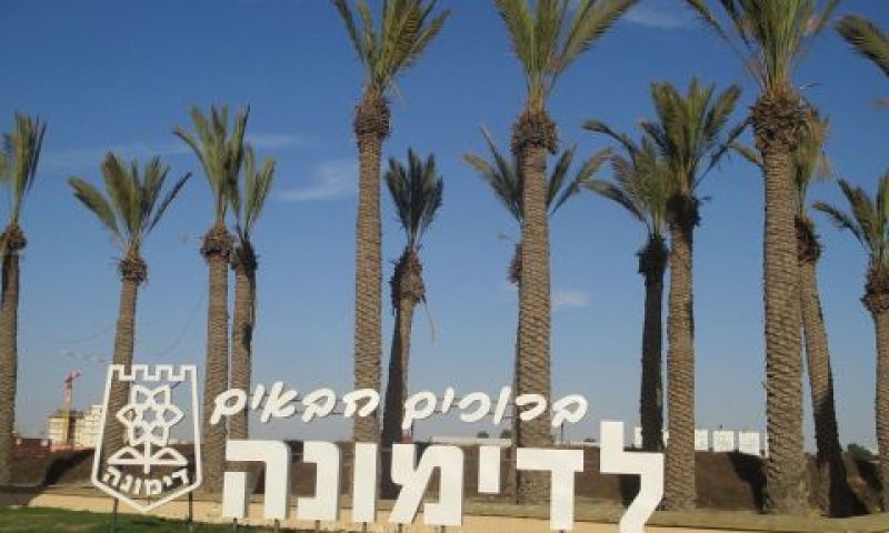 [צילום: אבישי טייכר]