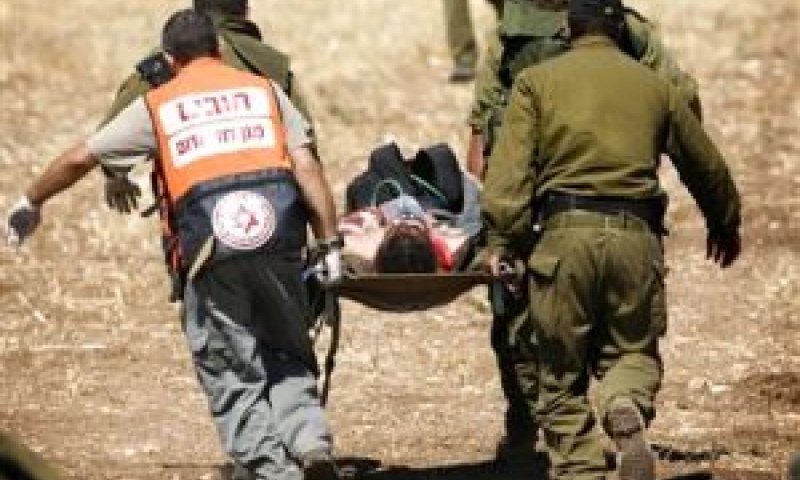 [צילום: AP]