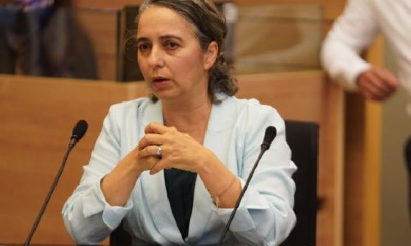 ענת גואטה. כלים לניהול סיכונים [צילום: דני שם-טוב/דוברות הכנסת]