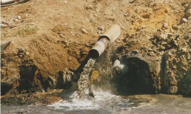 שפכים בעלי ריח חריף [צילום: אלון בן-מאיר]