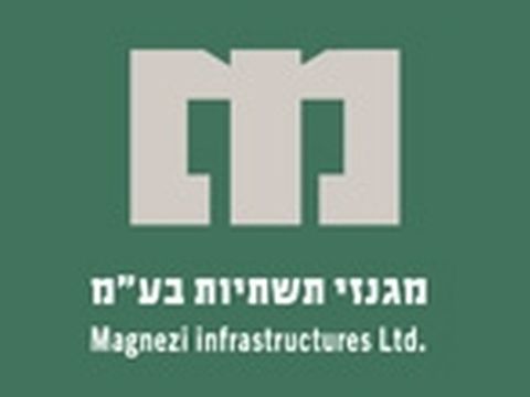 איש קש כמחזיק המניות