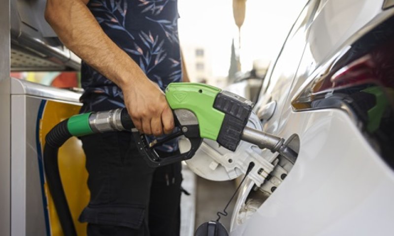 [צילום: אוליביה פיטוסי, פלאש 90]