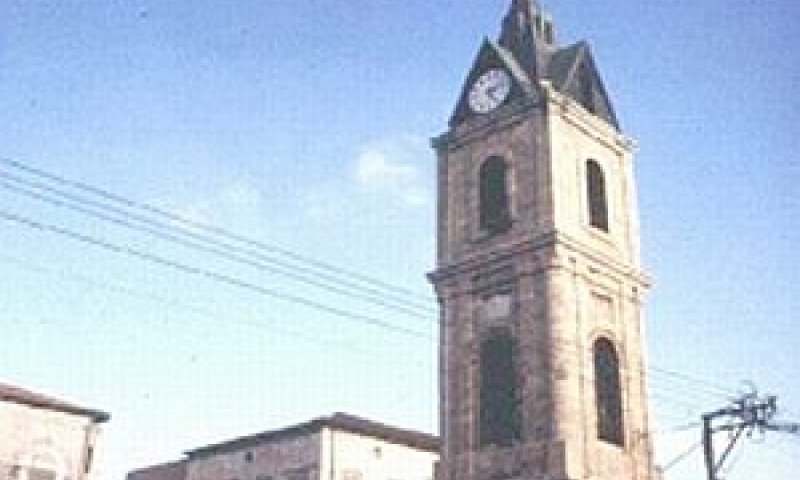 מגרש בן 1.3 דונם ממזרח לכיכר השעון [צילום: החברה להגנת הטבע]