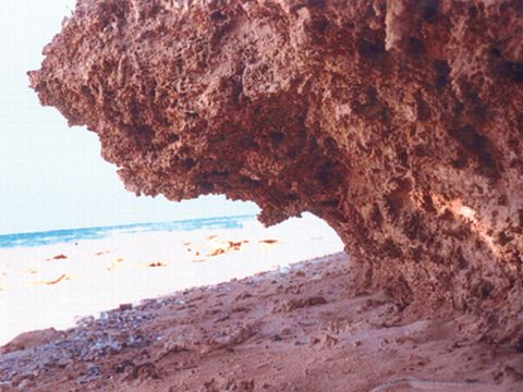 גלי הים מלחכים את בוהן המצוק [צילום: המכון הגיאולוגי]