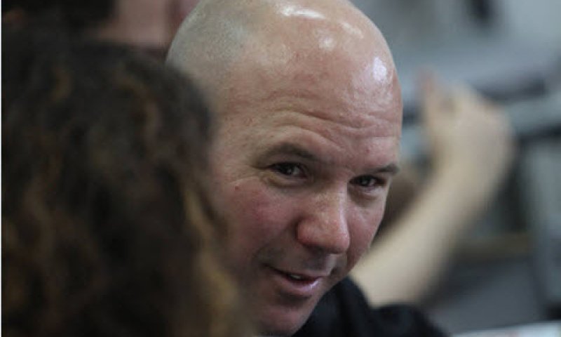 קורב. בחופשה. [צילום: גילי יוחנן, פלאש 90]