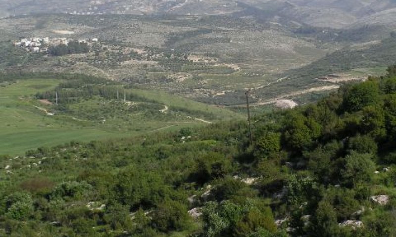 פארק עדולם. חופרים ובוכים [מירה חן]