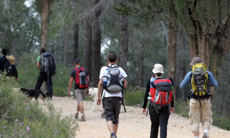 לא יהיו טיולים אם לא יאושר התשלום [צילום: נתי שוחט/פלאש 90]
