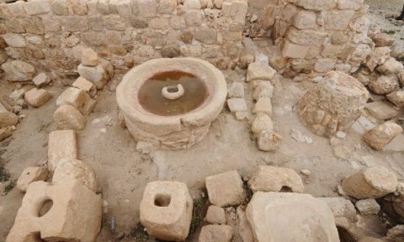 תל שילה. צביון דתי והיסטורי [צילום: מנדי הכטמן, פלאש 90]