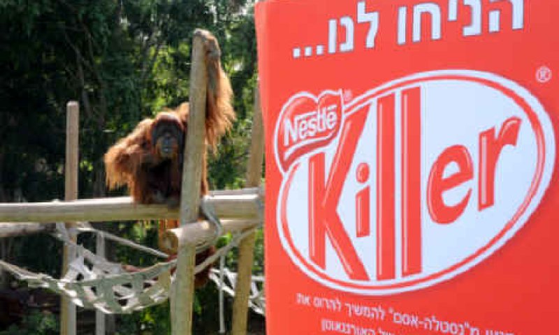 הניחו לנו [צילום: יח"צ]