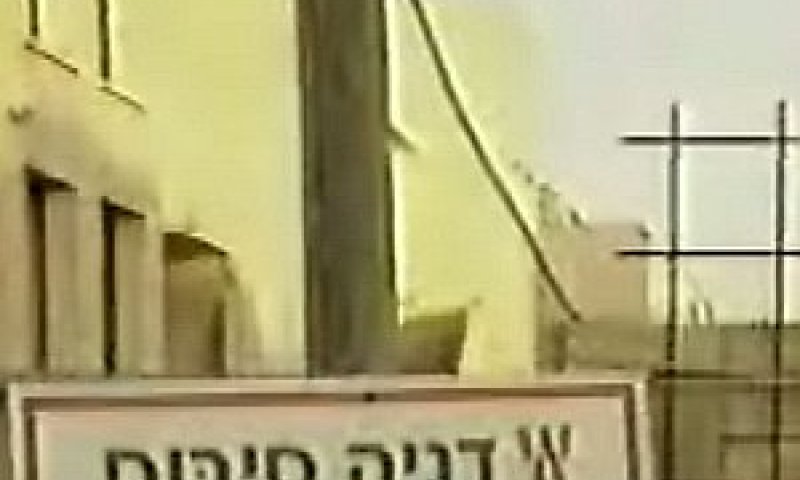 דניה סיבוס