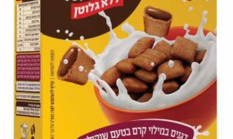 דגני בוקר לחולי צליאק [צילום: image art studio]