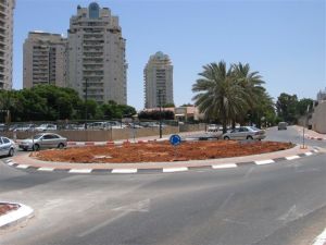 [צילום: גונן אליאסי]