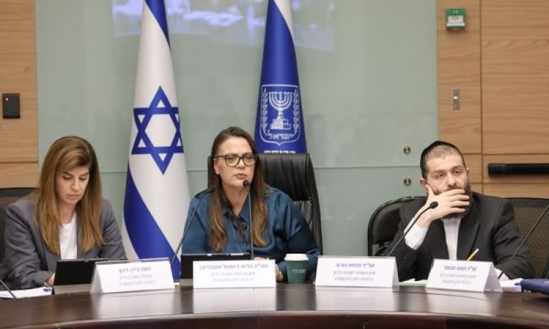 הוועדה דחתה פיצול [צילום: דני שם-טוב/דוברות הכנסת]