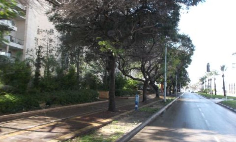 פרויקט בחולון