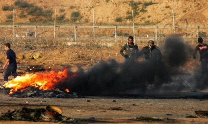 נמלטו ללא פגע. גבול רצועת עזה [צילום: עבד רחים חטיב/פלאש 90]