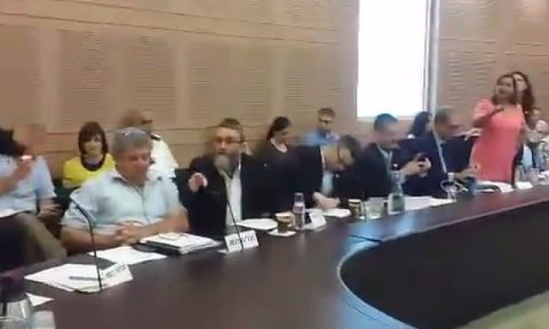 ההתפרעות בוועדה