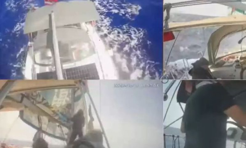 עשרות פעילים נעצרו