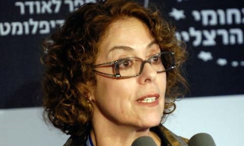 פרופ' כרמי. המלצה ללא בסיס עובדתי [צילום: יותם פרום]