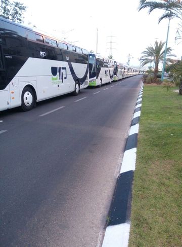 [צילום: טל זומר]