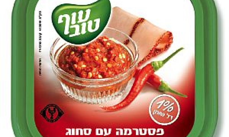 [צילום: יח"צ]