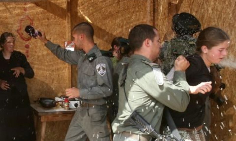 שוב אלימות שוטרים [צילום ארכיון: מרים צחי/מקור ראשון]