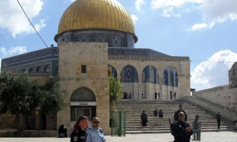 ביטון (בכחול) על רקע כיפת הסלע