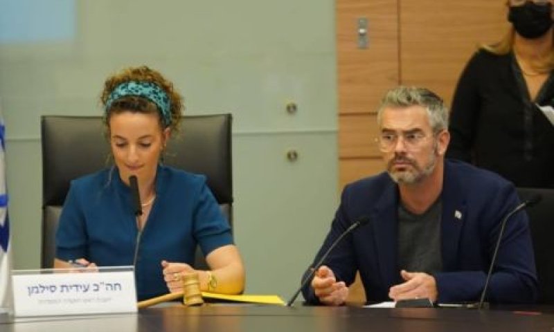 טופורובסקי וסילמן [צילום ארכיון: דני שם-טוב/דוברות הכנסת]