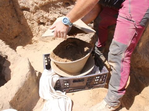 כלי השנהב השבור הוטמן בתוך קערות בזלת גדולות [צילום: דוידה דגן, רשות העתיקות]