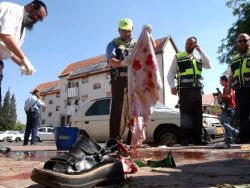 כתמי הדם ונעלה של רותי זהבי [צילום: AP]