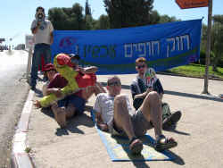 פעילי ארגון 'מגמה ירוקה' מפגינים בעד חוק החופים [צילום ארכיון]