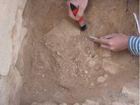 חפירת יונה בארטיקולציה, שובך ביזנטי בסעדון [צילום: יותם טפר]