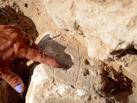 לוחות המשחק בחדר המשחקים [צילום: יוֹלי שוורץ, רשות העתיקות]