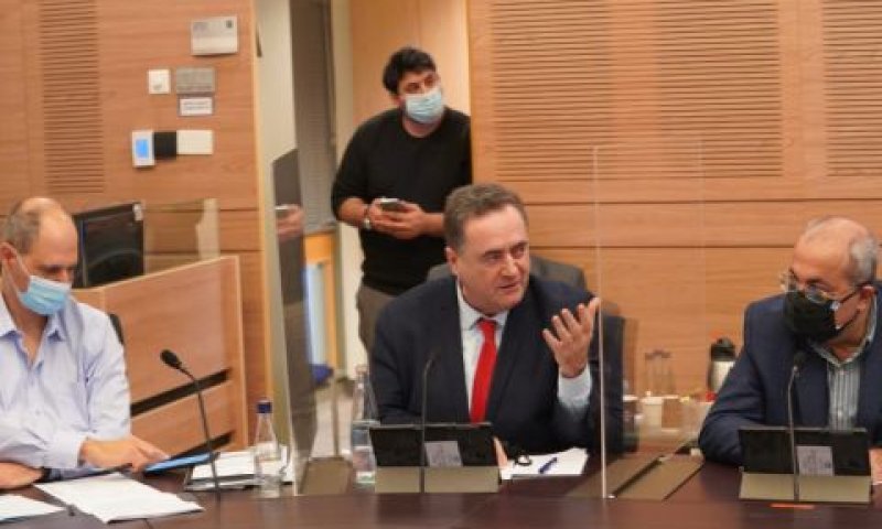 כץ. "ישראל תפתח עוד משאבים כדי לסייע" [צילום: דני שם טוב, דוברות הכנסת]