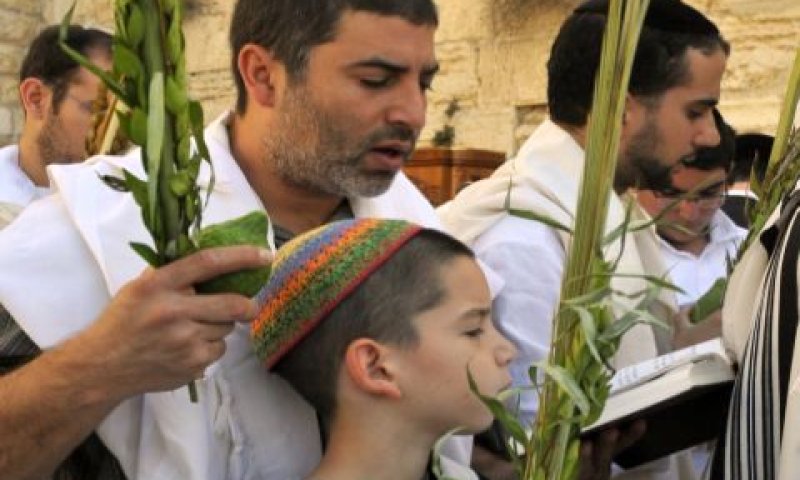 [צילום: פלאש 90]