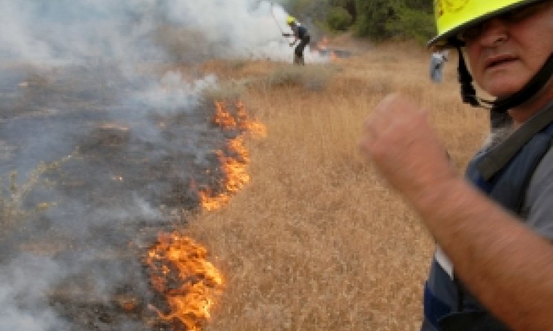 [צילום ארכיון: פלאש 90]
