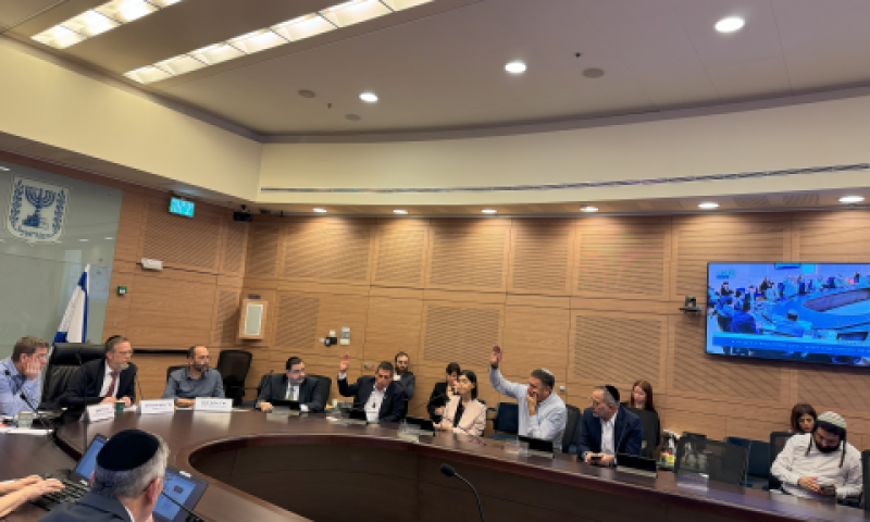 הצבעה בוועדת חוקה [צילום: דוברות הכנסת]
